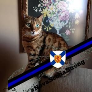 Meet your Posher, Carol lynn